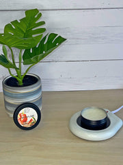 Melonade Wickless Tin